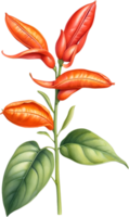AI generated Watercolor painting of Scarlet Emperor Runner Beans flower. Ai-Generated png