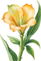 AI generated Watercolor painting of Okra flower. Ai-Generated png