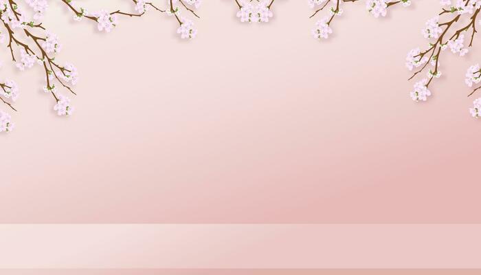 Spring background,Studio Room with 3D Podium Display with Cherry Blossoming on Pink Wall Background,Vector illustration backdrop Sakura flower frame border for Mother Day,Valentines,Easter Banner