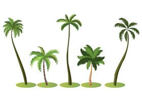 palm trees set vector illustration