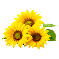 AI generated Sunflower Isolated on Transparent Background png