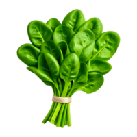 AI generated Fresh Spinach Bundle Isolated on Transparent Background png