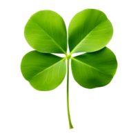 AI generated Leaf Clover Isolated on Transparent Background png