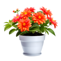 AI generated Flowers in Pot Isolated on Transparent Background png