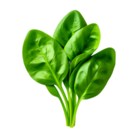 AI generated Fresh Spinach Isolated on Transparent Background png