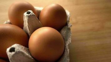 poulet des œufs dans une papier carton paquet video