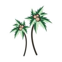 Vector coconut tree, palm tree illustration vector design