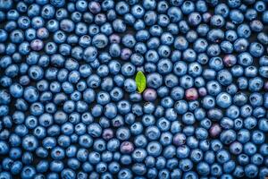 AI generated Fresh blueberry with drops of water. Top view. Concept of healthy and dieting eating. Neural network AI generated photo