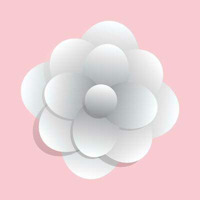 Vector spring flowers in paper style