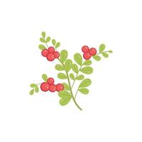 Berry branch with leaves in cartoon flat style. Red berries with leaves isolated on a white background. Vector illustration.