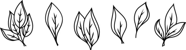 Doodle leaf icon Sketch leaf  clipart Vector illustration