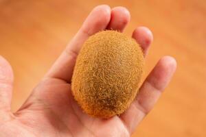 Hand holding kiwi fruit, closeup photo