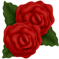 botanico acquerello rosso Rose con verde le foglie clipart.romantico san valentino giorno decorazioni. png