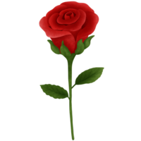 romántico rojo Rosa acuarela clipart.botánico arte.valentines día celebracion. png