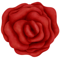 botanico acquerello rosso rosa illustrazione.romantico san valentino giorno decorazioni e saluto carte. png