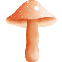 Watercolor fly agaric mushroom clipart.Cute brown fly agaric illustration. png