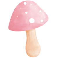 vattenfärg söt rosa flyga agaric svamp clipart.fly agaric illustration.svampar illustration. png