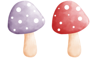 Set of watercolor purple and red fly agaric mushrooms clipart.Cute fly agaric illustration. png