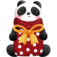 Watercolor happy little panda with christmas gift box illustration. Christmas animal decoration clipart. png