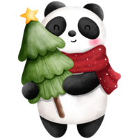 Watercolor happy baby panda with christmas tree illustration. Christmas animal decoration clipart. png