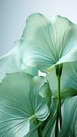 AI generated transparent lotus leaves pattern isolated background Created with generative Ai photo