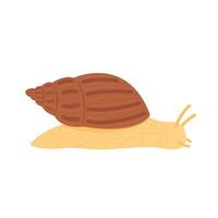 Snail vector. Snail on white background. Snail cartoon vector. vector