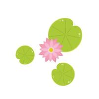 Lily pad pattern. wallpaper. free space for text. Lotus flower. vector