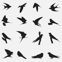 Barn Swallow Silhouettes vector