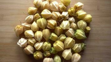 Physalis Obst Hintergrund video