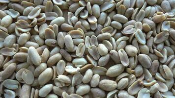 Pine nuts background video