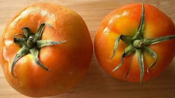 vers tomaten draait video