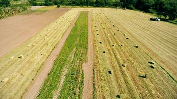 Traktor Arbeiten im das Landwirtschaft Feld Antenne Aussicht video