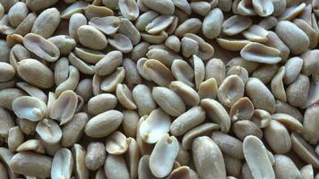 Pine nuts background video