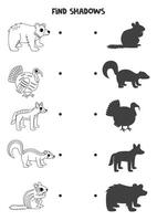 Find the correct shadows of black and white North American animals. Logical puzzle for kids. vector