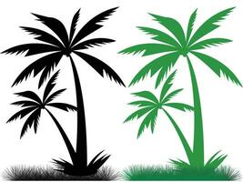 coconut tree vector