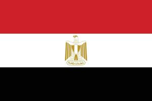 bandera de egipto.nacional bandera de Egipto vector