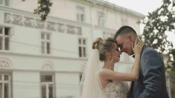 Wedding couple. Lovely groom and bride. Happy family. Man and woman in love video