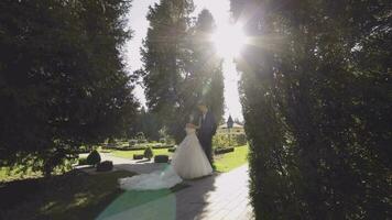 Boda Pareja. encantador novio y novia. contento familia. hombre y mujer en amor video