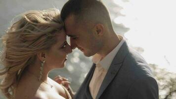 Wedding couple. Lovely groom and bride. Happy family. Man and woman in love video