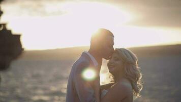 Wedding couple. Lovely groom and bride. Happy family. Man and woman in love video