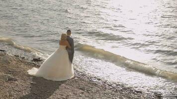 Boda Pareja. encantador novio y novia. contento familia. hombre y mujer en amor video