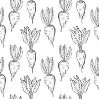 Sugar beet seamless pattern hand drawn sketch vector illustration. Repeating background with sweet root plants, Engraved vegetables backdrop . Agriculture, healthy food, beetroot harvesting