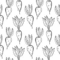 Sugar beet seamless pattern hand drawn sketch vector illustration. Repeating background with sweet root plants, Engraved vegetables backdrop . Agriculture, healthy food, beetroot harvesting