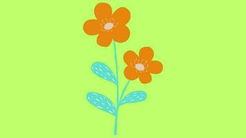 2d animated flower video