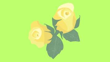 2d animated flower video