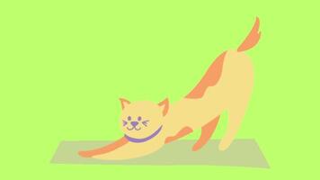 2d animated cat video