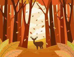 natural scenery in the autumn forest for the background vector