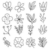 Simple linear flowers on stems isolated on white. Hand drawn vector botanical illustrations