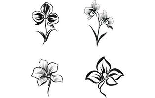 Set of Orchid flowers. Black silhouettes of flowers vector