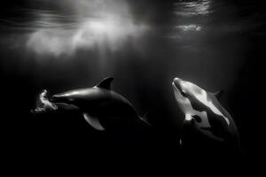 ai generado asesino ballena, orcinus orca neural red ai generado foto
